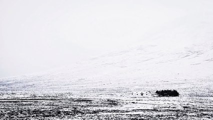 사당오피 오피쓰 OPSS3닷컴 사당건마 다리가 예쁘다 이런