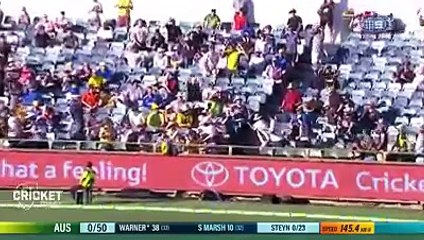 Warner: Key Insights and Updates