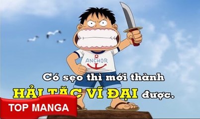 Những bí ẩn xung quanh vết sẹo trong One Piece