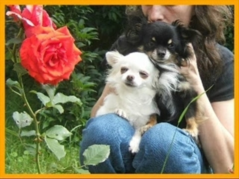 CASTADIVA DU CLOS DES MOUYSSOUX