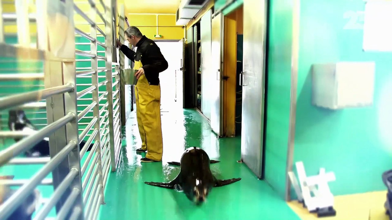 Numéro 23: Les 1ères images du prochain numéro du magazine "Ils font la France", présenté par la ministre des Sports