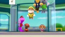 Paw Patrol - New Pup Clip 1