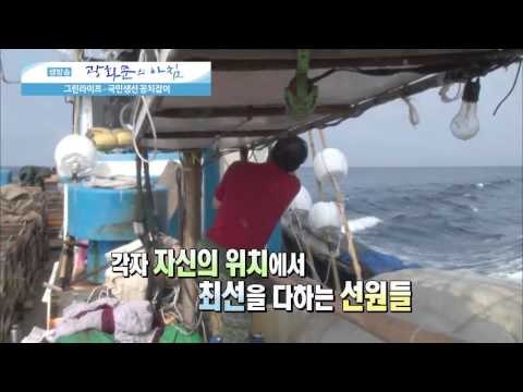 국민생선 꽁치잡이 [광화문의 아침] 27회 20150714
