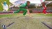 TOP 10 Funny Wickets in Cricket History Ever - You Never Stop Laugh - Weird Dismissals