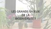 Témoignage de Gilles Boeuf - Président du conseil scientifique de l'AFB