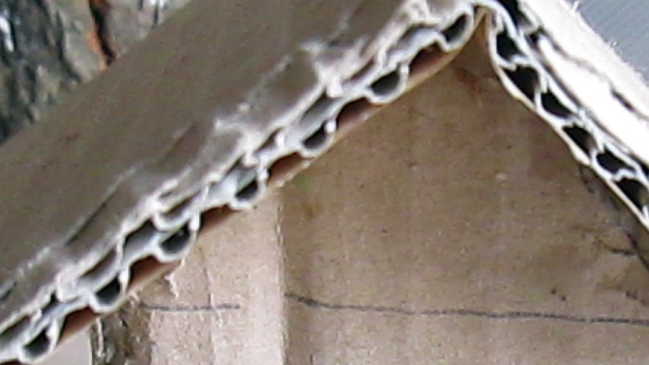 MVI_0001