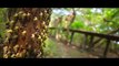 Keshava Official Trailer _ Nikhil _ Ritu varma _ Isha Koppikar _ Sudheer Varma _ Abhishek Pictures - Full HD