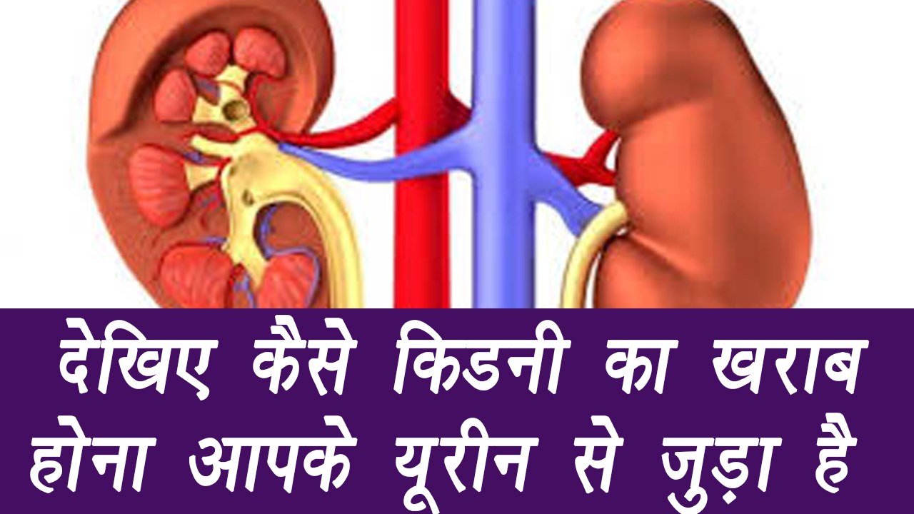 Symptoms of Liver fails | किडनी की दिक्कत आपके यूरीन से जुड़ी है | Boldsky