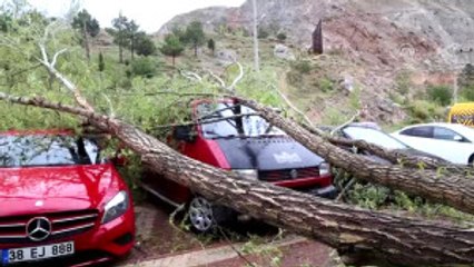 Kırılan Ağaç Dalı 3 Araca Zara Verdi