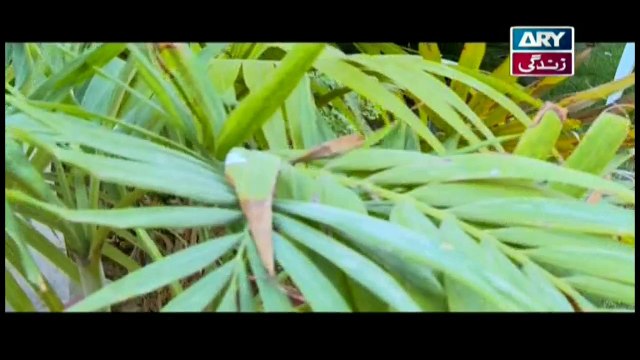 Dugdugi Episode 191 - on Ary Zindagi in High Quality 19th May 2017