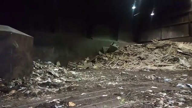 Ce batiment abandonné est infesté de centaines de rats