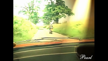 The Professionals - Ray Enternally - by Pearl Montana