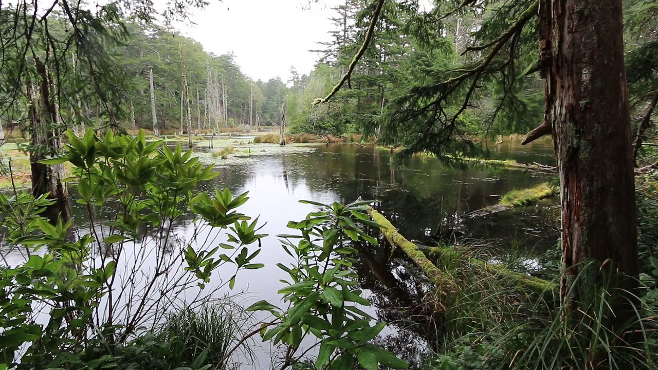 Lost lake II