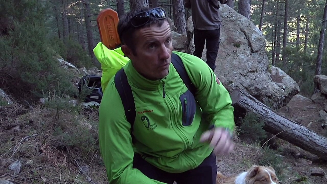 En Corse, le sentier de randonnée du GR20 se refait une beauté