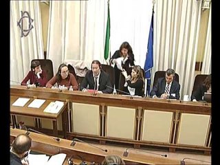 Roma - Audizione Sea-Watch (18.05.17)