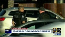 Police investigating multiple homicides in Mesa