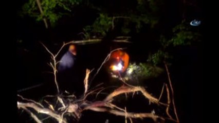 Kadın Sürücü 25 Metreden Uçuruma Yuvarlandı