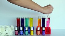CARNATIONS RAINBOW COLOR CHANGING ♥ DIY SCIENCE EXPERIMENT ♥ Simple & Fun