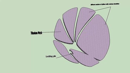 Armadillo design inspired pillow