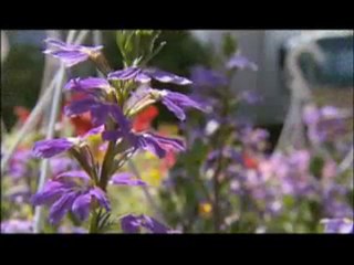 WIRED SCIENCE | Zone Creep | PBS