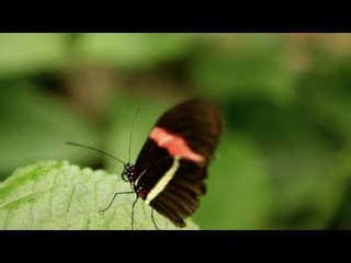 Netsky - No Beginning - Official Video