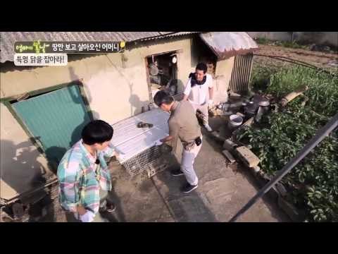 봄날지기 특명! 닭을 잡아라 [엄마의 봄날] 4회 20150627