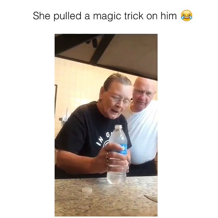 funny videos 2017