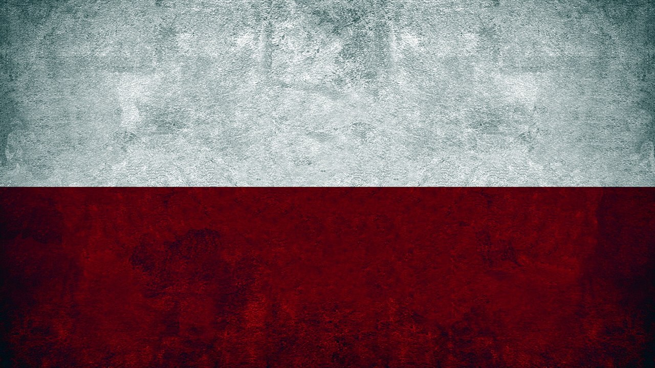 Phineas and Ferb : Me, Myself and I - multilanguage - 31 languages (2/3)