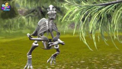 Finger Family Dinosaur Skeleton Family Nursery Rhyme _ 3D Finger Family
