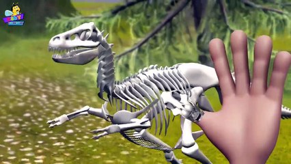 Finger Family Dinosaur Skeleton Family Nursery Rhyme _ 3D Finger Family Son