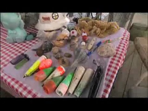 WIRED SCIENCE | Flotsam Found | PBS