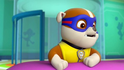Paw Patrol - Paw Patrol - Paw Patrol