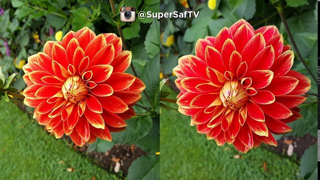 OnePlus 2 vs Samsung Galaxy S6 Camera Test Comparison