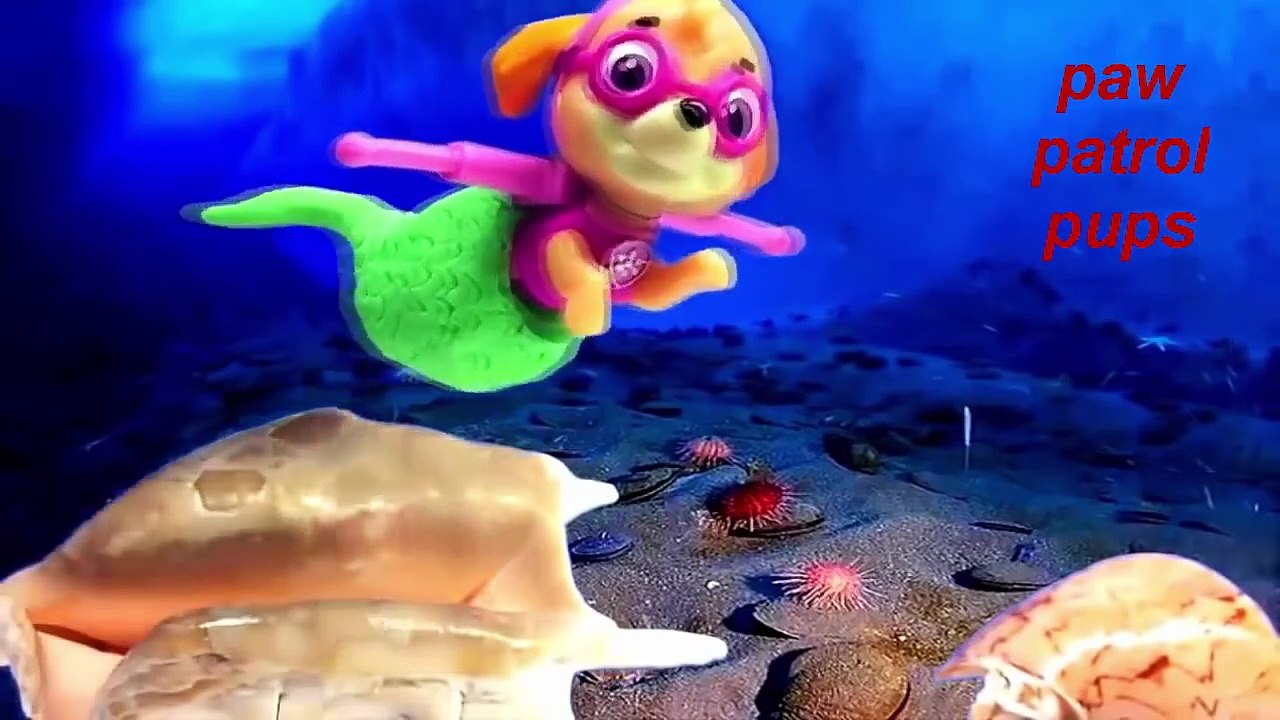 PAW Patrol Pups Save a Mer Pup Clip 5