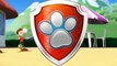 Paw Patrol episodes Pups Save the Sea Turtles Zuma and Rocky found turtles
