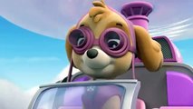 Paw Patrol episodes Pups Get a Rubble