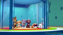 Paw Patrol English Pup Pup Goose Pup Pup and Away part 8 brief episode