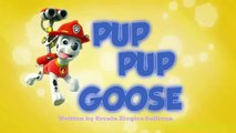 Paw Patrol English Pup Pup Goose Pup Pup and Away part 1 brief episode