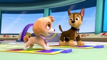 PAW Patrol Cartoon Pup Pup Boogie Pups in a Fog Part 3