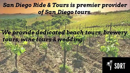 Temecula Wine Country Tour