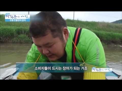전통 민물장어 잡이 [광화문의 아침] 10회 20150619