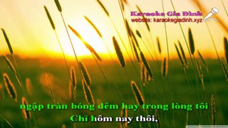 Ngày Mai Sẽ Khác Karaoke - Tone Thấp (Lê Hiếu)