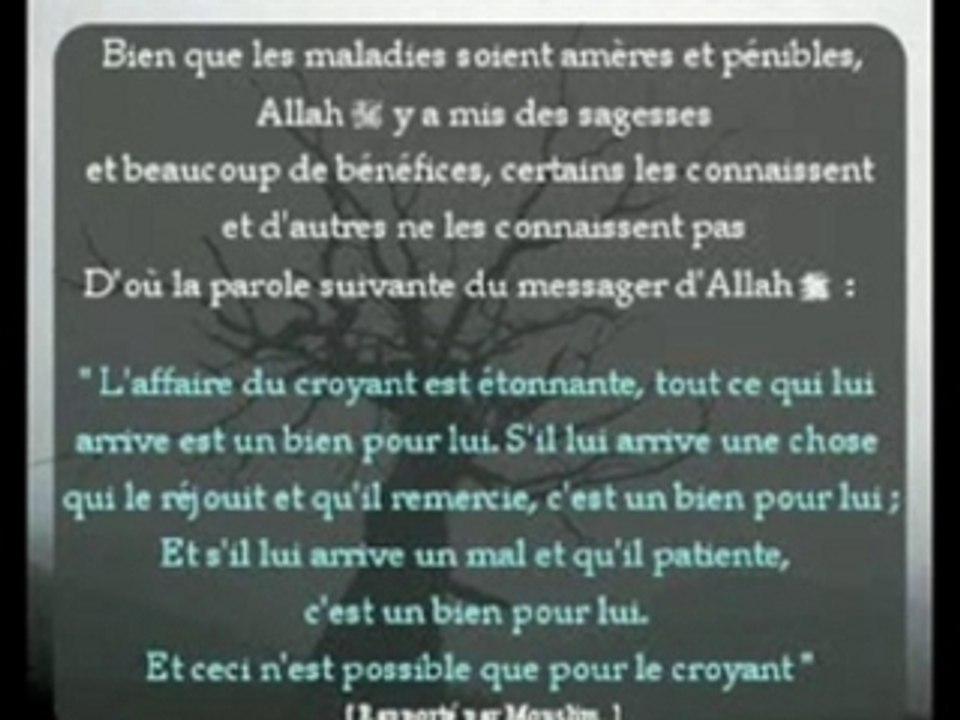 la maladie  2éme partie ''islam''