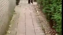 Onschuldig rookbommetje