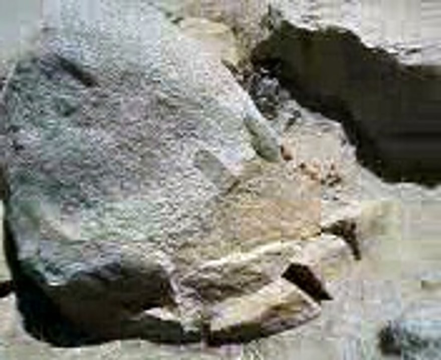 tips to start manifesting your success