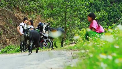 Vietnam Travel - -I realized that to know that I love or hate ...