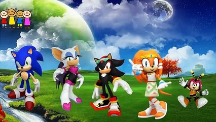 Baby Songs   Cauliflear-Owl-Pumpkins Finger Family Song for Baby   Finger Famil