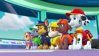 Paw Patrol - S 4 E 2 - Pups Save a Chili Cook-Off