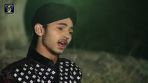 URDU NAAT Zameen Saj Gai HD Full Video Naat Muhammad Jahanzaib Qadri Naat Online Video Dailymotion