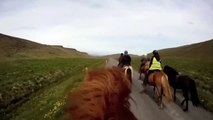 Horse Riding - Icelandic Horses for Kidsgfdg